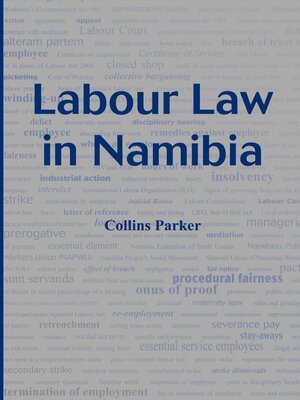 cover image of Labour Law in Namibia